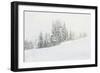 Snowy White Forest-null-Framed Photographic Print