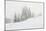 Snowy White Forest-null-Mounted Photographic Print