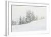 Snowy White Forest-null-Framed Photographic Print