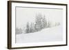 Snowy White Forest-null-Framed Photographic Print