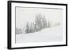 Snowy White Forest-null-Framed Photographic Print