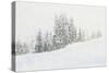 Snowy White Forest-null-Stretched Canvas