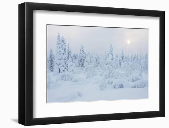 Snowy Winter Scene-gadag-Framed Photographic Print