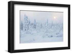 Snowy Winter Scene-gadag-Framed Photographic Print