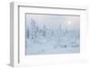 Snowy Winter Scene-gadag-Framed Photographic Print