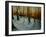 Snowy Woods 2002-Lee Campbell-Framed Giclee Print