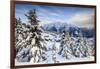 Snowy Woods and Mountain Huts Framed by the Winter Sunset, Bettmeralp, District of Raron-Roberto Moiola-Framed Photographic Print