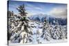 Snowy Woods and Mountain Huts Framed by the Winter Sunset, Bettmeralp, District of Raron-Roberto Moiola-Stretched Canvas