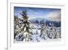 Snowy Woods and Mountain Huts Framed by the Winter Sunset, Bettmeralp, District of Raron-Roberto Moiola-Framed Photographic Print