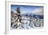 Snowy Woods and Mountain Huts Framed by the Winter Sunset, Bettmeralp, District of Raron-Roberto Moiola-Framed Photographic Print