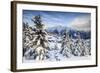 Snowy Woods and Mountain Huts Framed by the Winter Sunset, Bettmeralp, District of Raron-Roberto Moiola-Framed Photographic Print