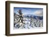Snowy Woods and Mountain Huts Framed by the Winter Sunset, Bettmeralp, District of Raron-Roberto Moiola-Framed Photographic Print