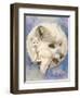 Snowy-Barbara Keith-Framed Giclee Print