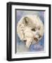 Snowy-Barbara Keith-Framed Giclee Print