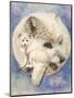 Snowy-Barbara Keith-Mounted Premium Giclee Print