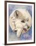 Snowy-Barbara Keith-Framed Premium Giclee Print