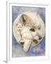 Snowy-Barbara Keith-Framed Premium Giclee Print