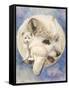 Snowy-Barbara Keith-Framed Stretched Canvas