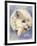 Snowy-Barbara Keith-Framed Giclee Print