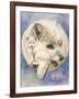 Snowy-Barbara Keith-Framed Giclee Print