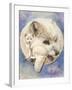 Snowy-Barbara Keith-Framed Giclee Print