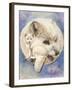 Snowy-Barbara Keith-Framed Giclee Print