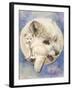 Snowy-Barbara Keith-Framed Giclee Print