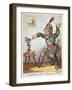 Snuffing Out Boney, 1814-George Cruikshank-Framed Giclee Print