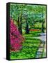 Snug Harbor Botanical Garden, 2015-Anthony Butera-Framed Stretched Canvas