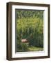 Snug Harbor, Kenai Peninsula, Alaska, USA-Walter Bibikow-Framed Photographic Print