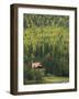 Snug Harbor, Kenai Peninsula, Alaska, USA-Walter Bibikow-Framed Photographic Print