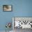 Snug Harbor-Ted Goerschner-Framed Stretched Canvas displayed on a wall