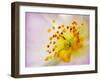 So Alive-Doug Chinnery-Framed Photographic Print