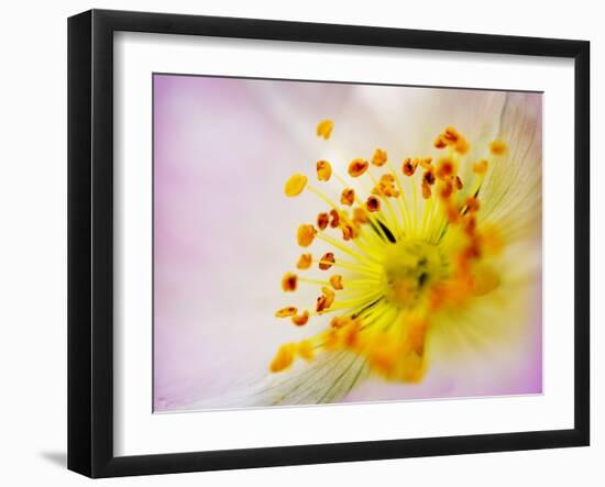 So Alive-Doug Chinnery-Framed Photographic Print