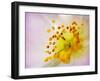 So Alive-Doug Chinnery-Framed Photographic Print