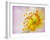 So Alive-Doug Chinnery-Framed Photographic Print