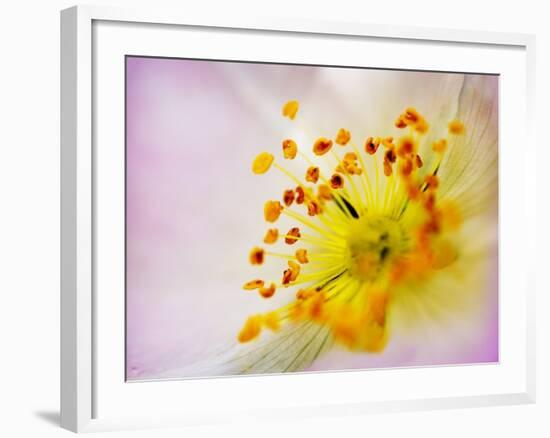 So Alive-Doug Chinnery-Framed Photographic Print