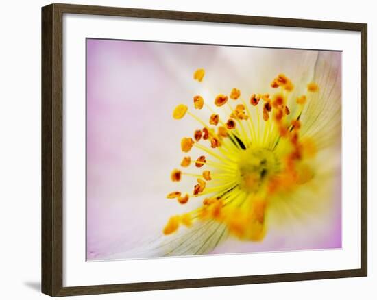 So Alive-Doug Chinnery-Framed Photographic Print