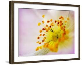 So Alive-Doug Chinnery-Framed Photographic Print