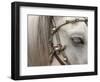 So Elegant II-Art Wolfe-Framed Photographic Print