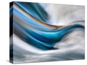 So Gentle, So Furious-Ursula Abresch-Stretched Canvas