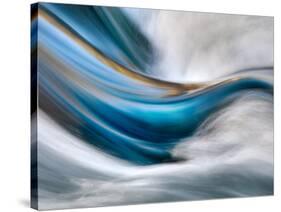 So Gentle, So Furious-Ursula Abresch-Stretched Canvas