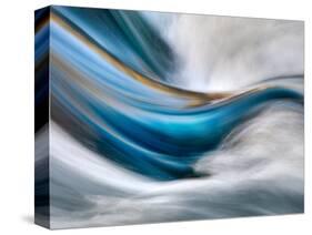 So Gentle, So Furious-Ursula Abresch-Stretched Canvas