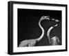 So it Began-Claudio Moretti-Framed Photographic Print