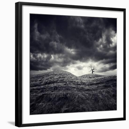 So Lonely-Luis Beltran-Framed Photographic Print