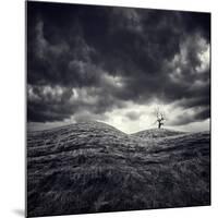 So Lonely-Luis Beltran-Mounted Photographic Print