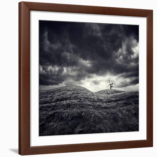 So Lonely-Luis Beltran-Framed Photographic Print