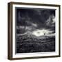 So Lonely-Luis Beltran-Framed Photographic Print