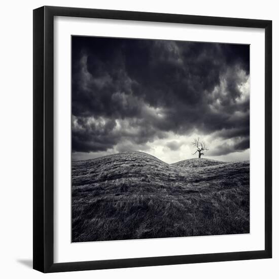 So Lonely-Luis Beltran-Framed Photographic Print