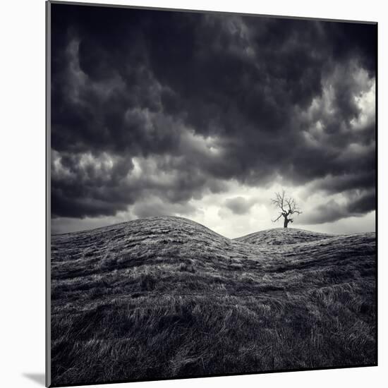 So Lonely-Luis Beltran-Mounted Photographic Print